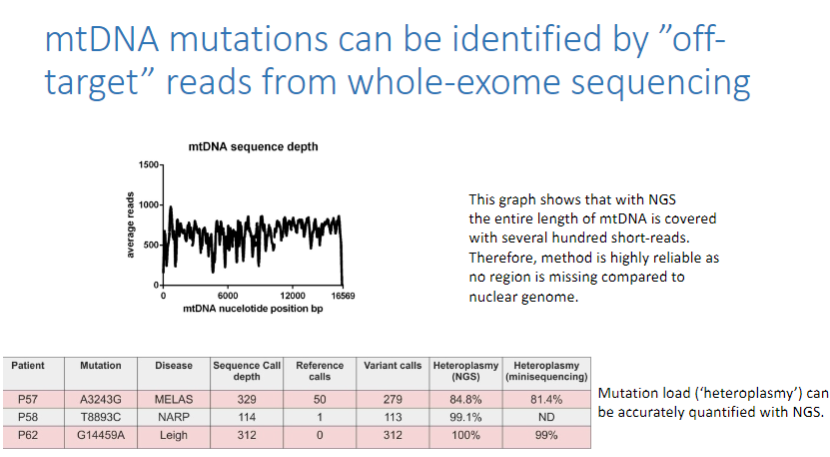 <p>mtDNA mutations can be identified by <strong>"off-target" reads</strong> from <strong>whole-exome sequencing (WES)</strong>.</p><p>The <strong>entire length of mtDNA</strong> is covered with <strong>several hundred short-reads</strong>, making this method highly reliable.</p>