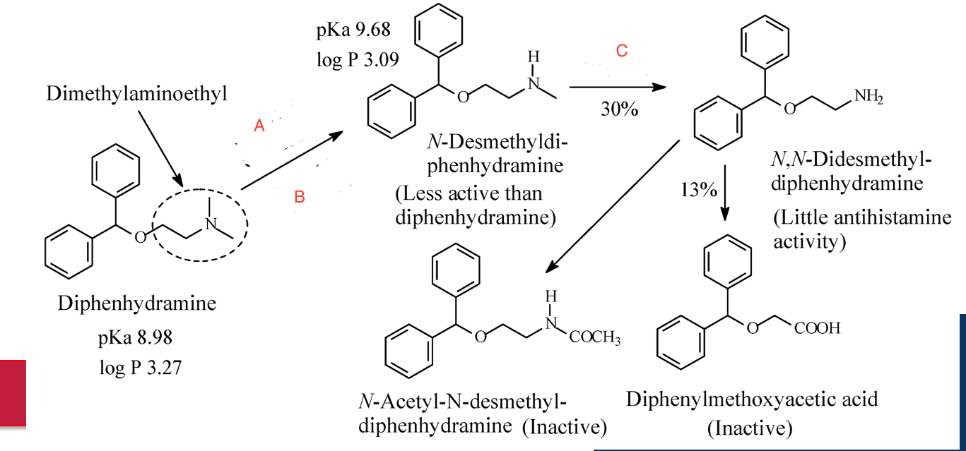 <p>Enzymes at A, B, and C. </p>