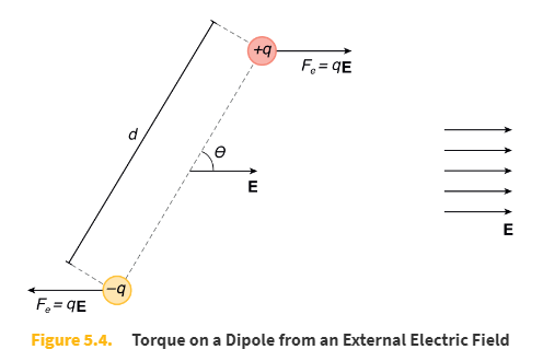 <p>translational equilibrium (i.e. the dipole does not change velocity overall)</p><p></p><p>net torque</p>