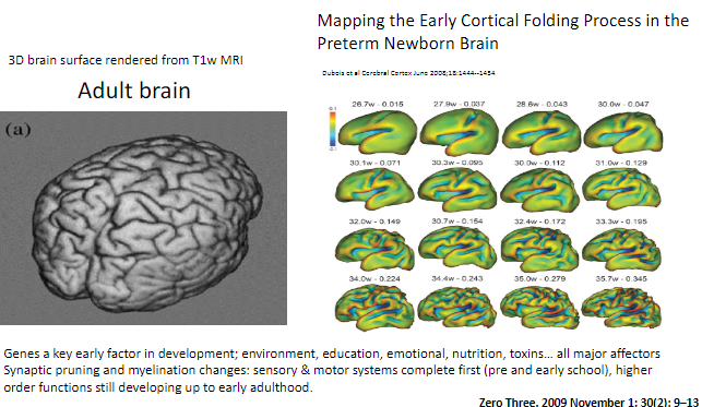 <p>Sensory and motor systems are complete by <strong>pre- and early school years</strong>.</p>