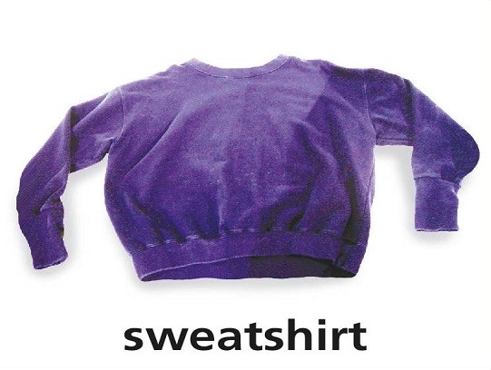 <p>sweatshirt</p>