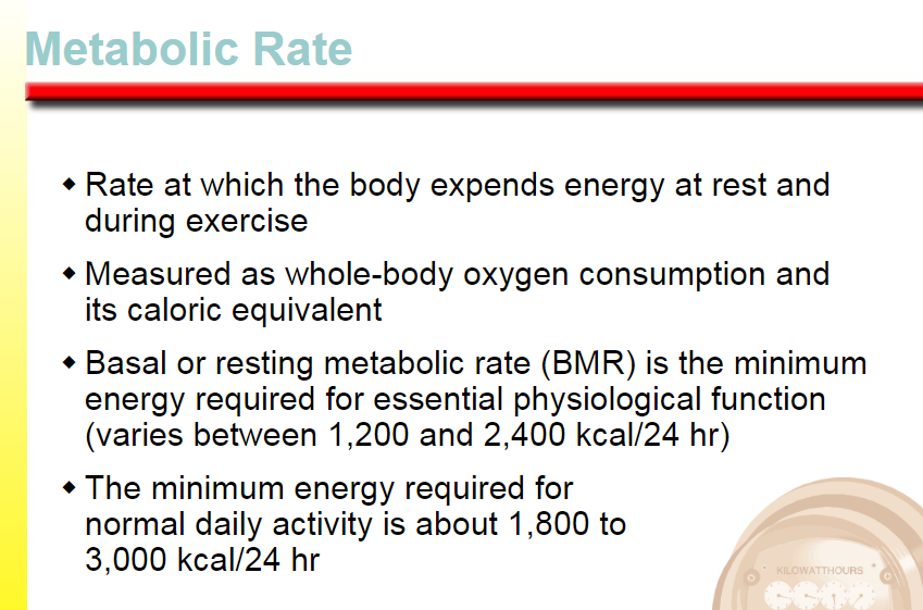 <p>rate at which the body expends energy at rest and during exercise </p>