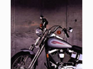 <p>motorcycle</p>