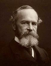 <p>William James, the “father of psychology” publishes Principles of Psychology</p>
