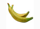 <p>plantains</p>