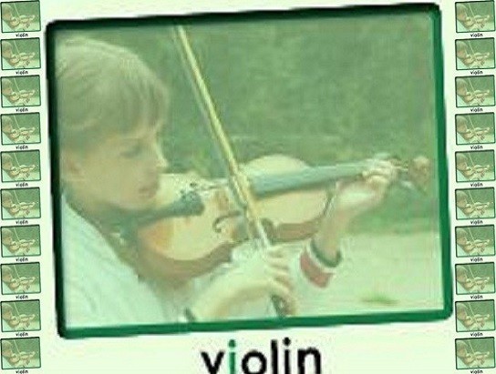 violin