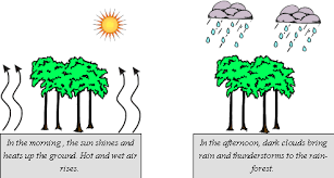 <p>It is always hot in the tropics: more than 30 degrees during the day, and a few degrees lower at night.</p><p>It rains a lot there. The average rainfall is more than 2,000 mm a year (De Bilt: 800 mm),&nbsp;</p><p>&nbsp;</p>