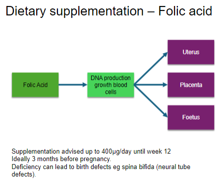 <p><strong>Supplementation</strong> is advised up to <strong>400μg/day</strong> until <strong>week 12</strong> of pregnancy.</p><p>Ideally, supplementation should start <strong>3 months before pregnancy</strong>.</p><p><strong>Deficiency</strong> can lead to <strong>birth defects</strong>, such as <strong>spina bifida</strong> and other <strong>neural tube defects</strong>.</p>