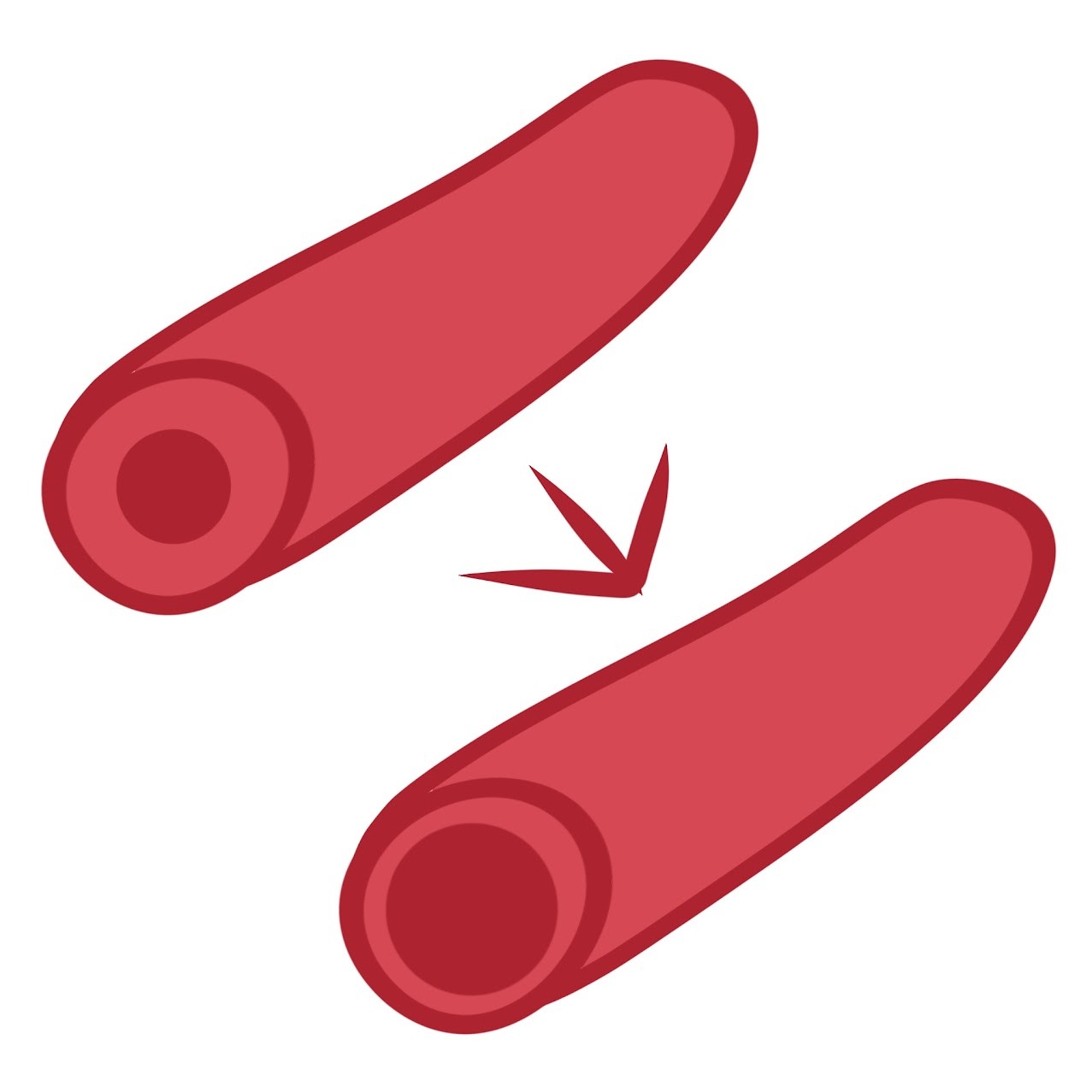 <p>Blood flow in the skin <span class="tt-bg-green">increases</span>, <span class="tt-bg-green">facilitating</span> heat loss </p>