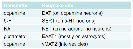 <p><strong>Dopamine:</strong></p><p><strong>Transporter:</strong> DAT</p><p><strong>Location:</strong> On dopamine neurons</p><p><strong>Serotonin (5-HT):</strong></p><p><strong>Transporter:</strong> SERT</p><p><strong>Location:</strong> On serotonin (5-HT) neurons</p><p><strong>Noradrenaline (NA):</strong></p><p><strong>Transporter:</strong> NET</p><p><strong>Location:</strong> On noradrenaline neurons</p><p><strong>Glutamate:</strong></p><p><strong>Transporter:</strong> EAAT1</p><p><strong>Location:</strong> Mostly on astrocytes</p><p><strong>Dopamine (vesicular transport):</strong></p><p><strong>Transporter:</strong> vMAT2</p><p><strong>Location:</strong> Into vesicles</p>