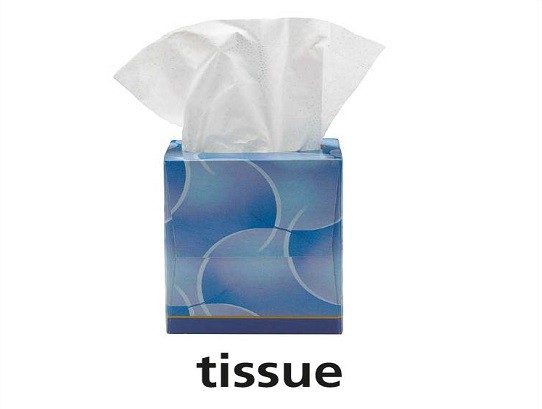 <p>tissue</p>