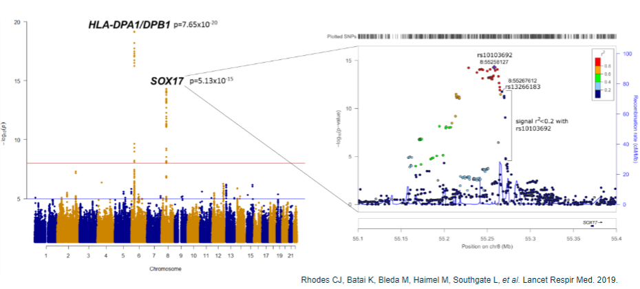 <p><strong>Population-specific associations</strong>: Associations may be specific to certain populations, requiring validation in other populations.</p><p><strong>Multiple loci</strong>: Large GWAS often reveal thousands of association peaks, making prioritization of findings difficult.</p><p><strong>Non-coding SNPs</strong>: 90% of associated SNPs are located in non-coding regions, complicating the identification of causal genes.</p><p><strong>Identifying causal variants</strong>: Determining which variants are actually causal remains challenging.</p><p><strong>Mechanism of action</strong>: Understanding the molecular mechanism and identifying the relevant tissue or cell type involved in the disease process.</p>