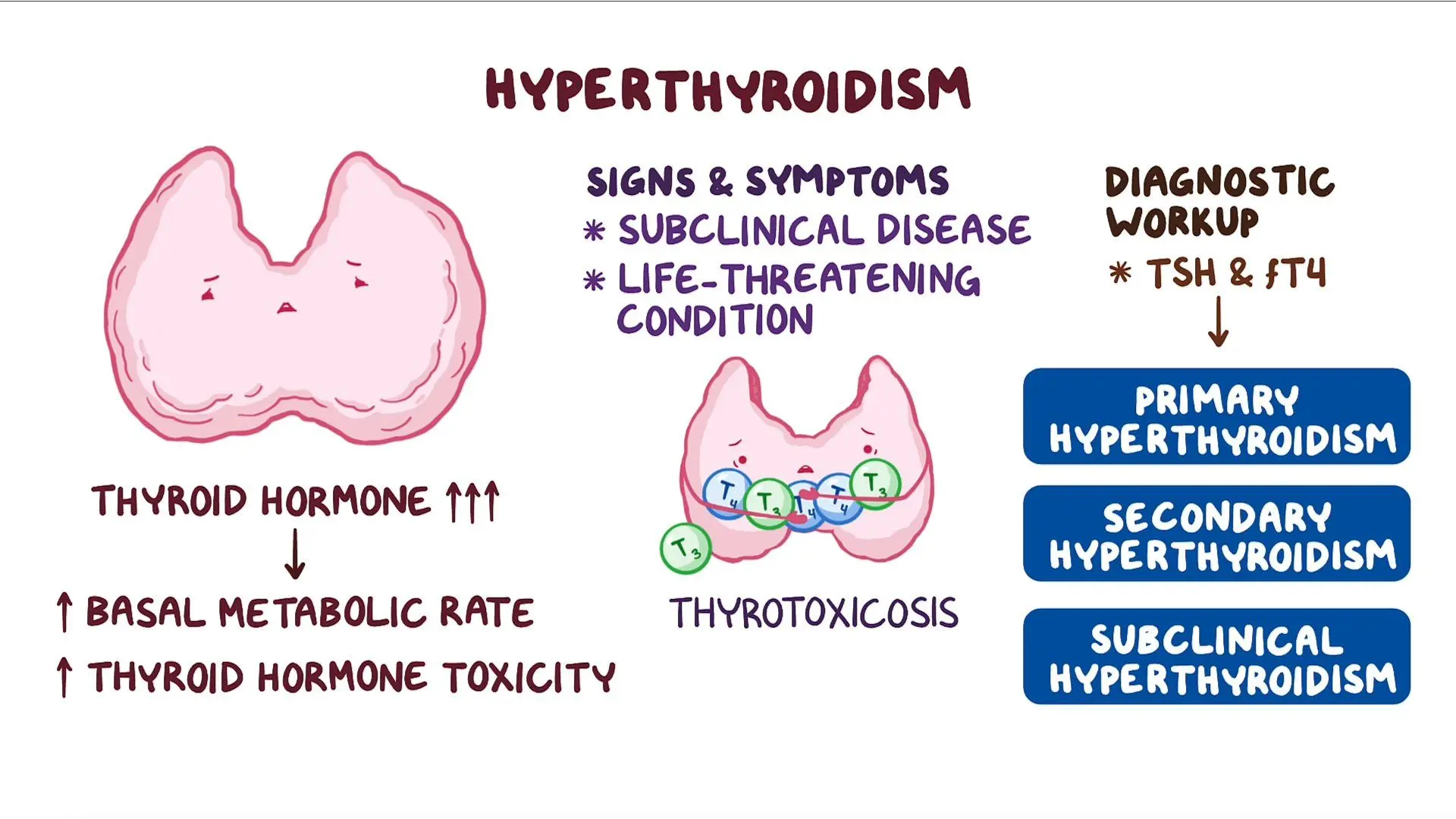 <p>Secondary thyrotoxicosis occurs when tumours of the anterior pituitary gland lead to the overproduction of thyroid-stimulating hormone (TSH), stimulating the thyroid gland excessively.</p>