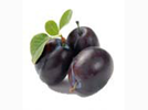 <p>plums</p>