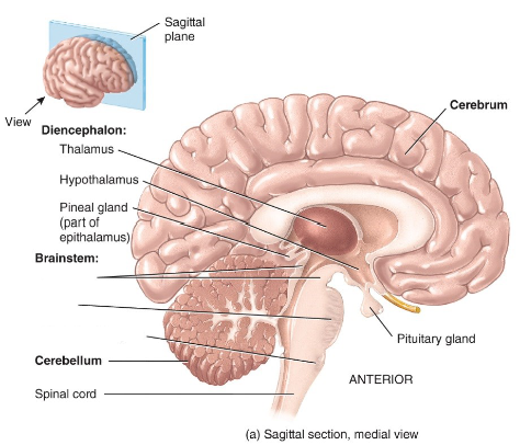 <p>Label the diagram. </p>