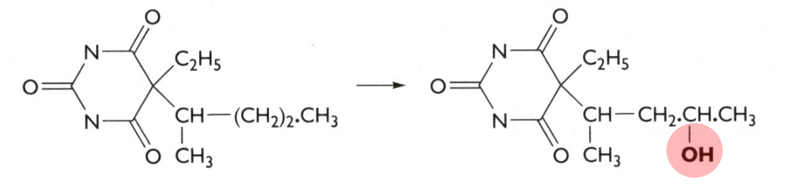 <p>What kind of reaction is this? What phase does this occur?</p>