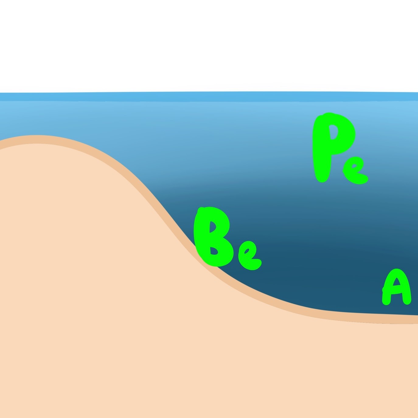 <p><span class="tt-bg-yellow">Pelagic</span> (<span class="tt-bg-green">open water</span> column outside of coastal areas), <span class="tt-bg-yellow">Benthic</span> (<span class="tt-bg-green">sediment</span> at the bottom of all aquatic zone), <span class="tt-bg-yellow">Abyssal</span> (<span class="tt-bg-green">deep</span> region of aphotic zone)</p>