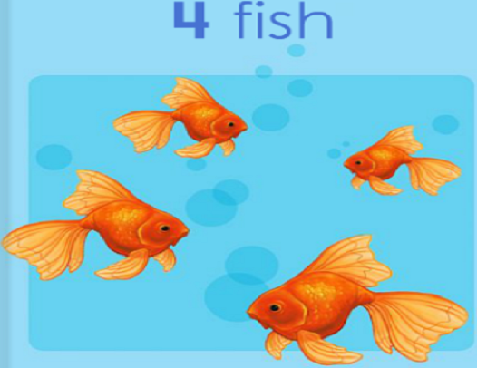 fish four