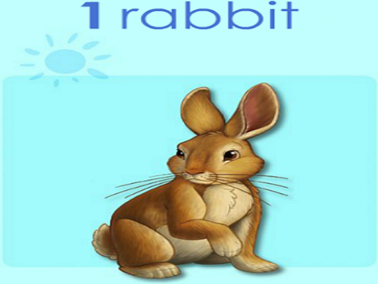 rabbit one