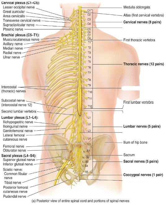 <p>Label the diagram.</p>