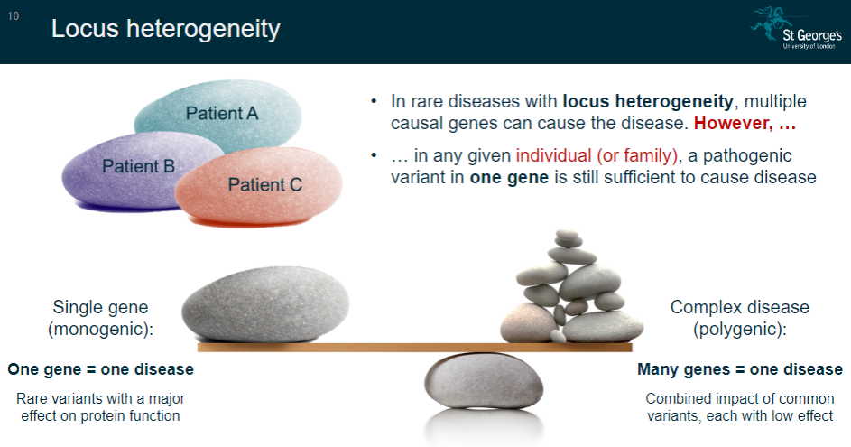 <p>Locus heterogeneity occurs when multiple causal genes can lead to the same disease.</p><p>However, in any given individual or family, a pathogenic variant in one gene is still enough to cause the disease.</p>