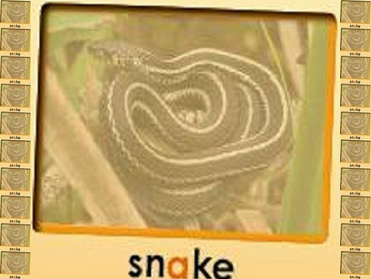 snake