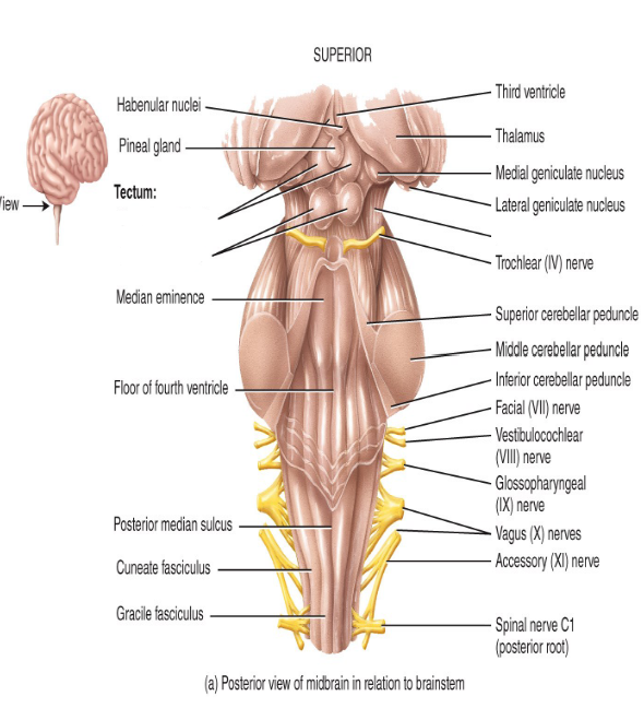 <p>Label this diagram.</p>