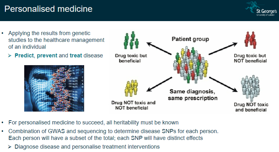 <p><strong>Complete heritability knowledge</strong>: All heritable factors must be understood for personalized medicine to work effectively.</p><p><strong>GWAS + sequencing</strong>: Combining Genome-Wide Association Studies (GWAS) and sequencing to identify disease-related SNPs specific to each individual.</p><p><strong>Personalized treatment</strong>: Use genetic data to diagnose diseases and tailor treatments for each person.</p><p><strong>Predict, prevent, and treat</strong>: Genetic information allows for prediction, prevention, and more effective treatment of diseases.</p>