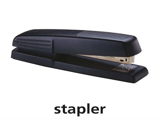 <p>stapler</p>