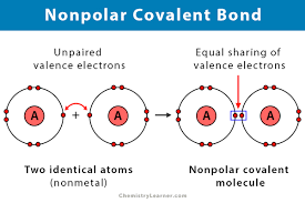 <p>The equal sharing of electrons, one doesn't attract more strongly than the other and the number shared is the same.</p>