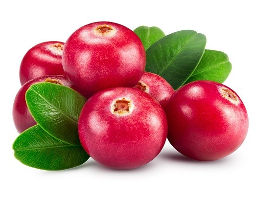 cranberry