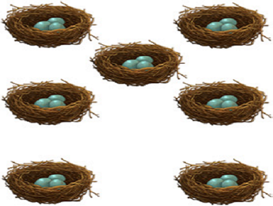 nests seven