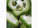 <p>okra</p>