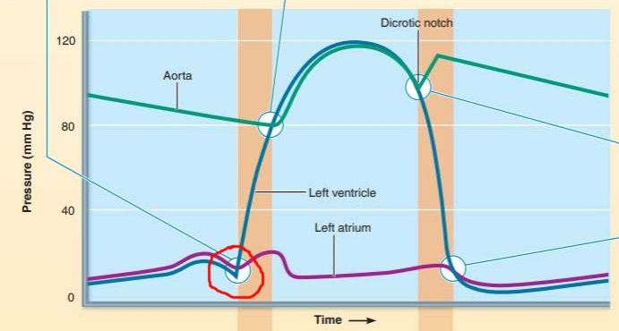 <p>______________ __________ close when _____________ pressure exceeds ________ pressure resulting in the _______ heart sound</p>