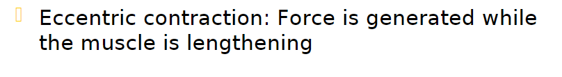 <p>force is generated while the muscle is lengthening </p>