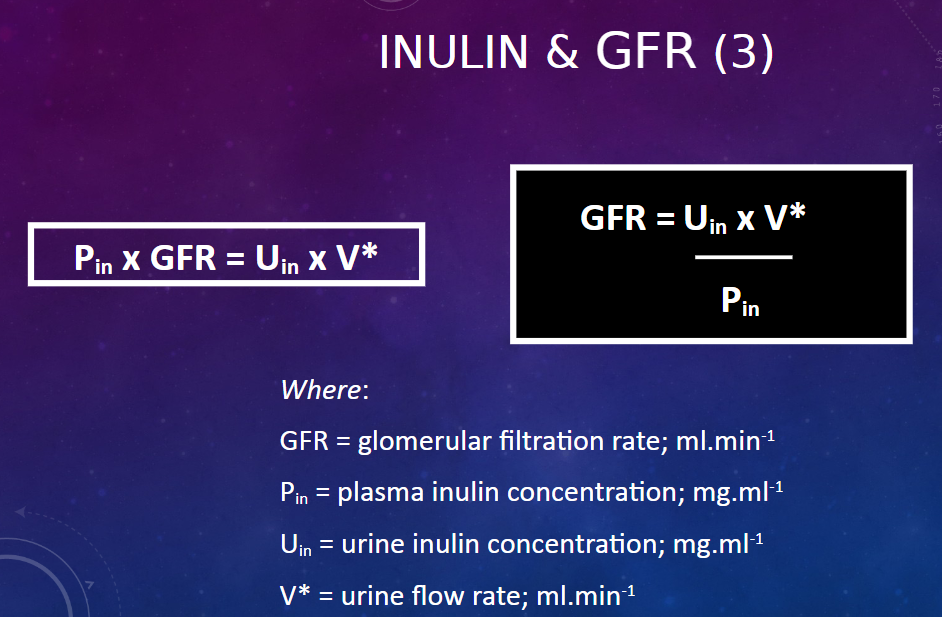<p>𖹭 GFR = Uin x V* / Pin 𖹭 Where:</p><p>GFR = glomerular filtration rate; ml.min^-1</p><p>Pin = plasma inulin concentration; mg.ml^-1</p><p>Uin = urine inulin concentration; mg.ml^-1</p><p>V* = urine flow rate; ml.min^-1 𖹭 Pin x GFR = Uin x V*</p>
