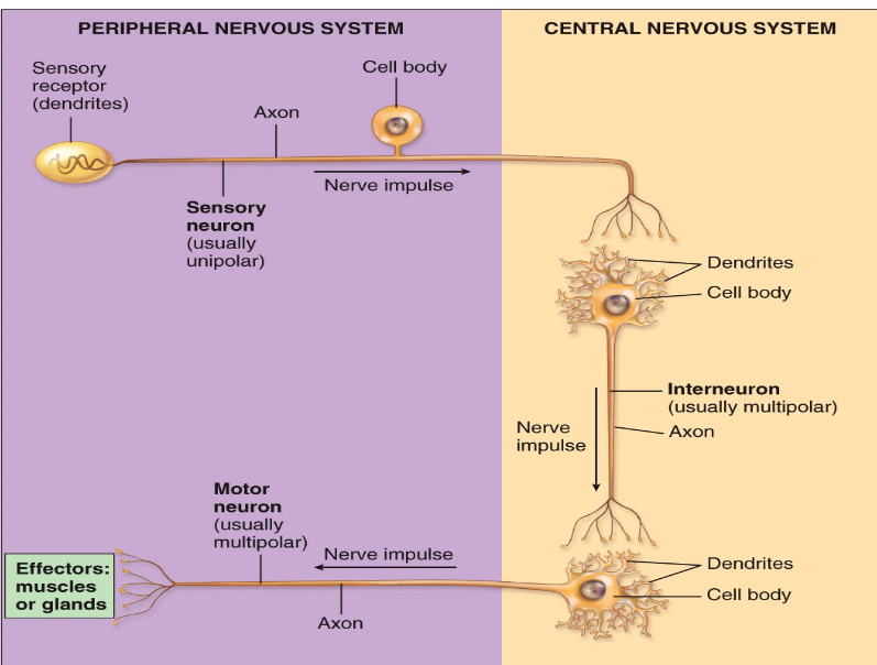 <p>Describe the diagram.</p>