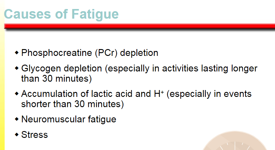 <p>phosphocreatine depletion </p><p>glycogen depletion </p><p>neuromuscular fatigue </p>