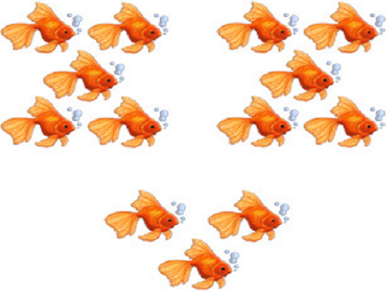 goldfish thirteen