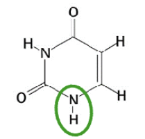 <p>Welk molecuul + variant van welk soort molecuul?</p>