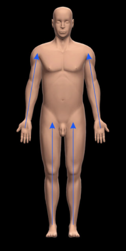 <p>What does Proximal mean? </p>