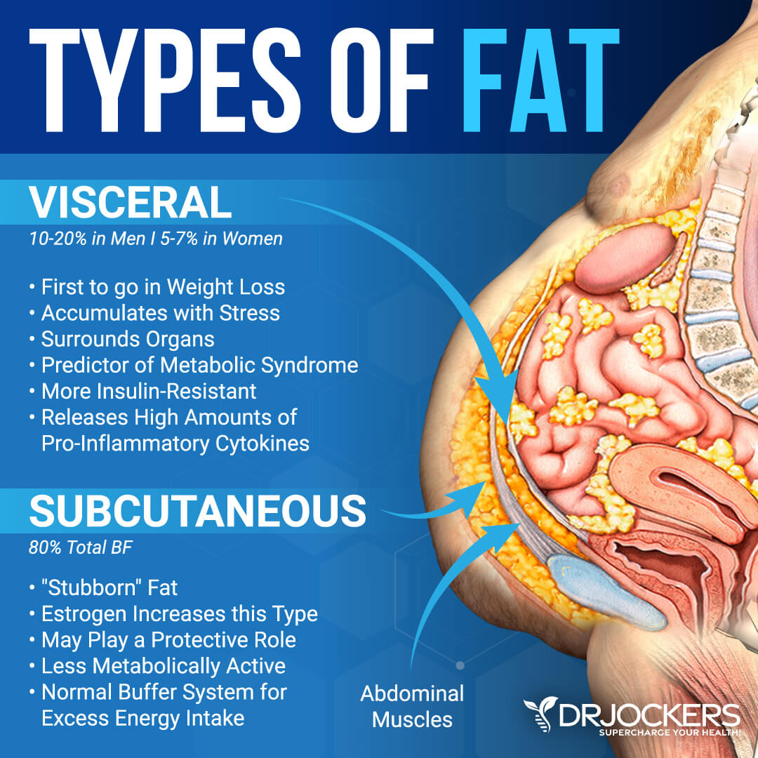 <p>Visceral enlargement may occur in individuals with excess GH/IGF-I.</p>