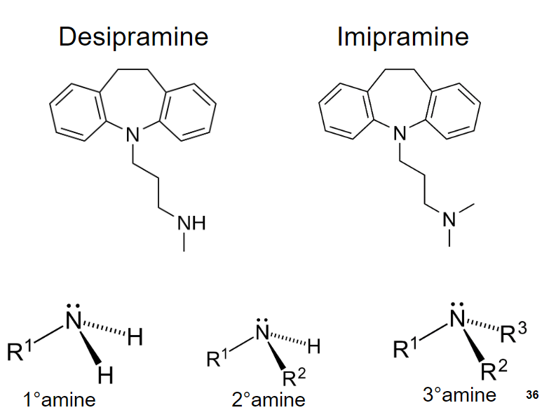 <p><strong>Desipramine:</strong> A <strong>secondary amine</strong> TCA.</p><p><strong>Imipramine:</strong> A <strong>tertiary amine</strong> TCA.</p><p><strong>Effect on receptors:</strong> Desipramine is more selective for norepinephrine (NA) reuptake inhibition, while imipramine has a broader spectrum of action, affecting both serotonin (5-HT) and norepinephrine reuptake.</p>