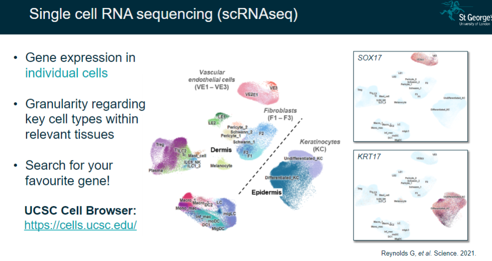 <p>Measures gene expression in individual cells.</p><p>Provides granularity regarding key cell types within relevant tissues.</p>