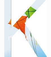 <p>kites</p>