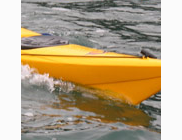 <p>kayak</p>