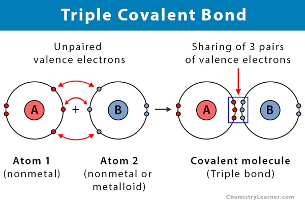 <p>When three pairs of electrons are being shared.</p>