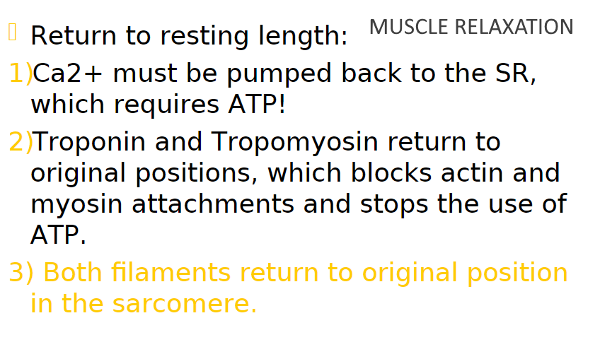 <p>calcium must be pumped back into the SR</p>