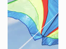 <p>kite</p>