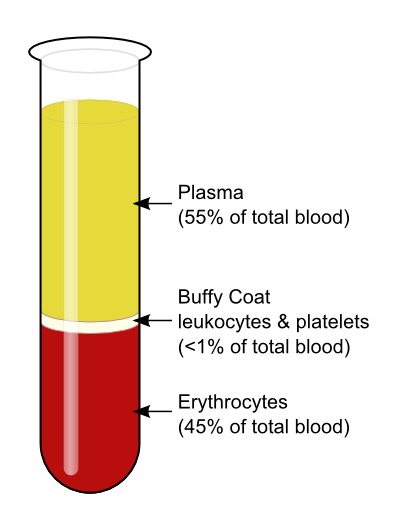 <p>-Red blood cells (44%)</p><p>-White Blood cells (less than 1%)</p><p>-Platelets (less than 1%)</p><p>-Plasma (55%)</p>